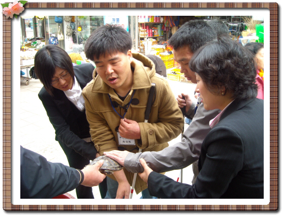 거북이와 장어를 손으로...